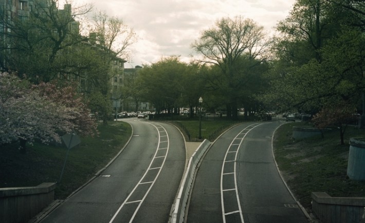 20150324184730-two-roads-decision-fork-road-city-trees